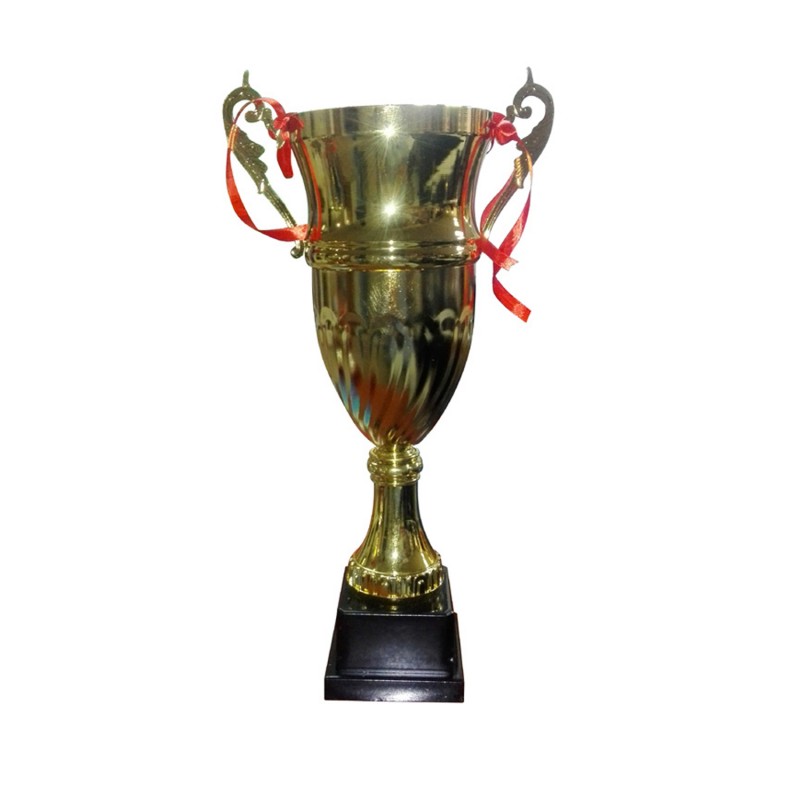 Copa dorada 2008