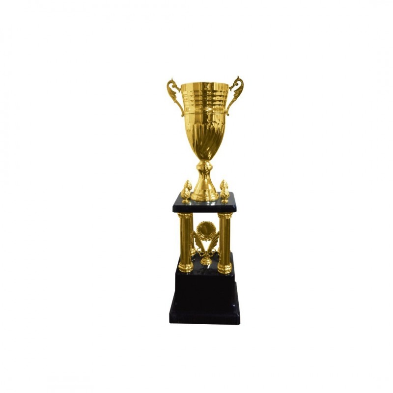 Copa dorada 2088